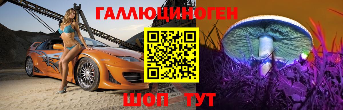Псилоцибиновые грибы Magic Shrooms  Вход с VPN  Новоалтайск 